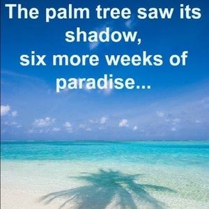 Meet your Posher, Georgianna